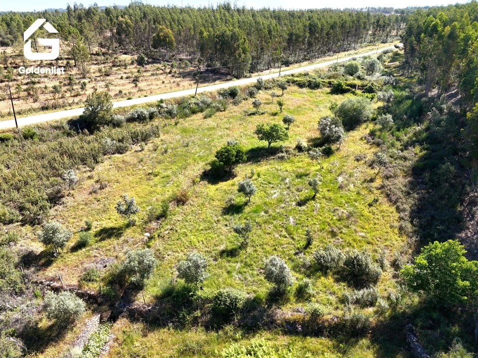 Quinta T0 para Venda em Sarnadas de Rodão Foto 35
