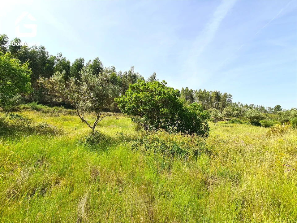 Quinta T0 para Venda em Sarnadas de Rodão Foto 34