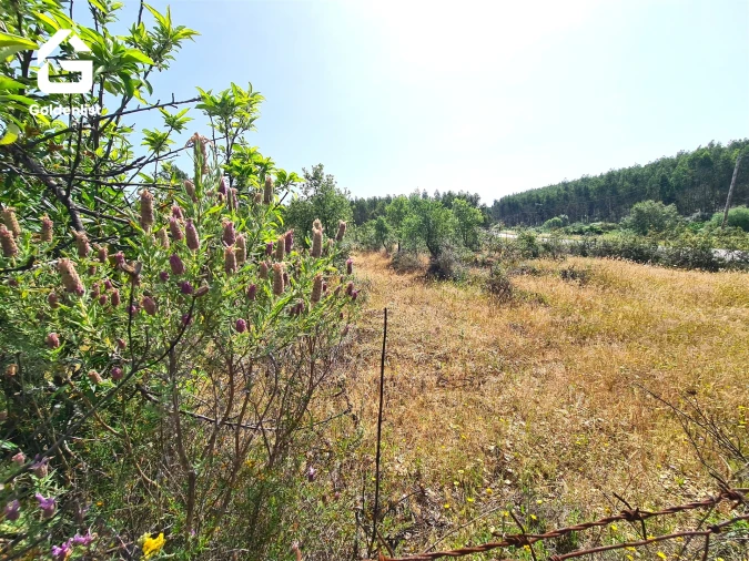 Quinta T0 para Venda em Sarnadas de Rodão Foto 20