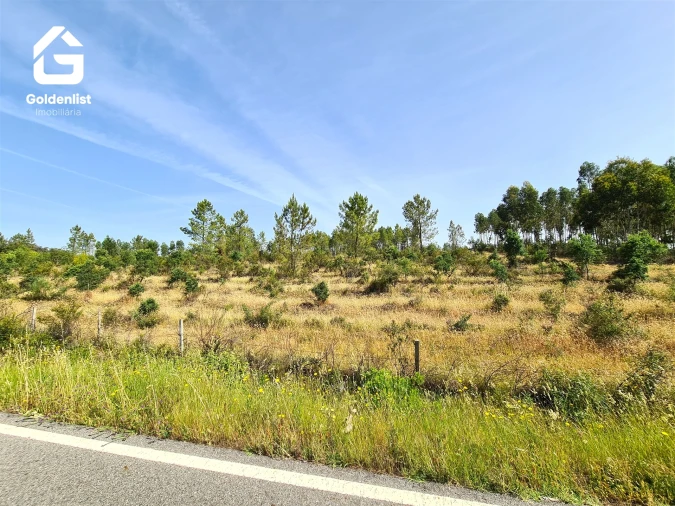 Quinta T0 para Venda em Sarnadas de Rodão Foto 23