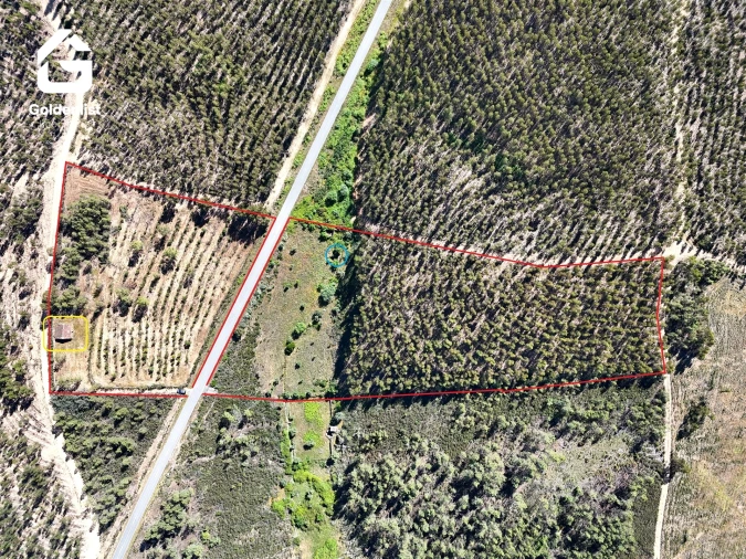 Quinta T0 para Venda em Sarnadas de Rodão Foto 46