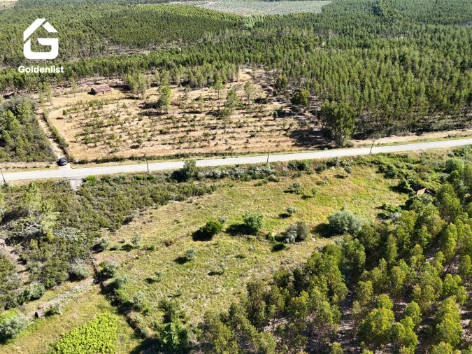 Quinta T0 para Venda em Sarnadas de Rodão Foto 36