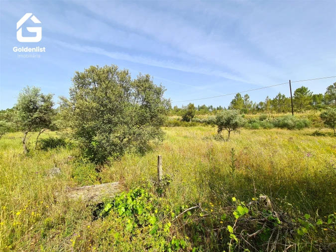 Quinta T0 para Venda em Sarnadas de Rodão Foto 28