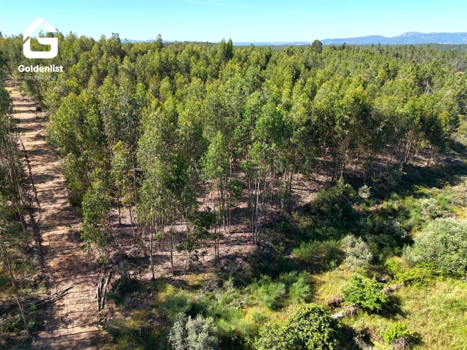 Quinta T0 para Venda em Sarnadas de Rodão Foto 43