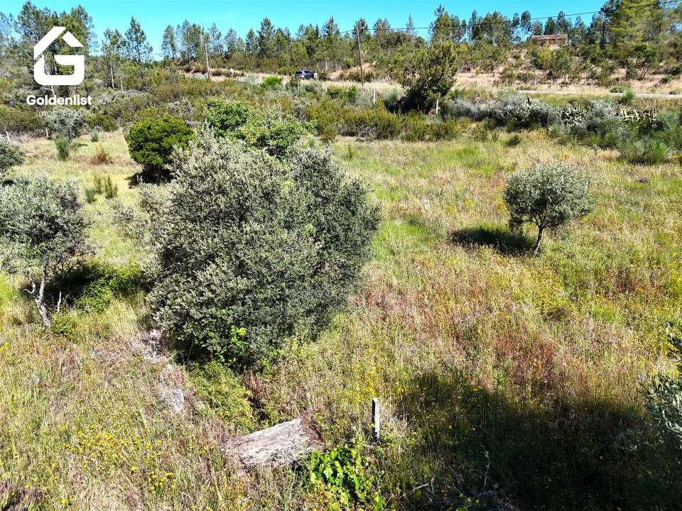Quinta T0 para Venda em Sarnadas de Rodão Foto 3