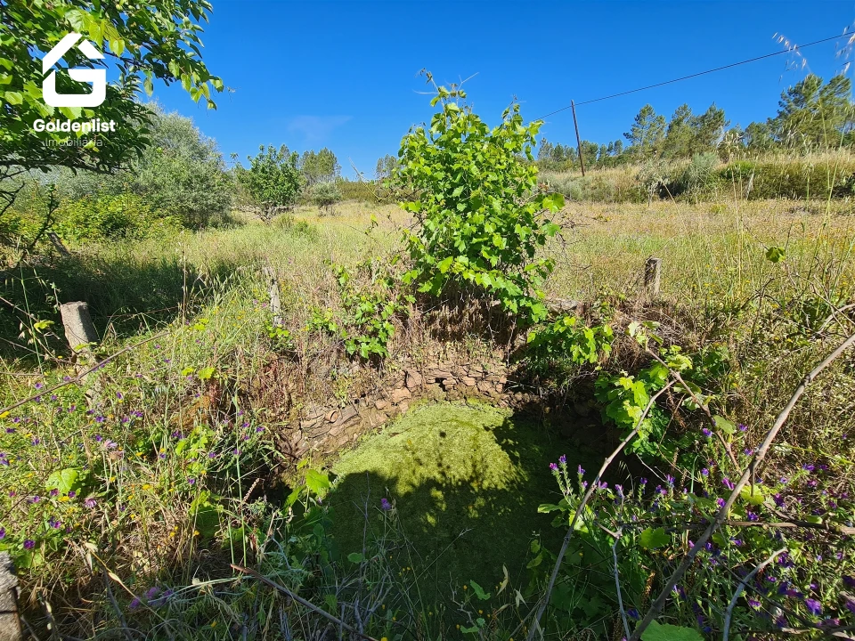 Quinta T0 para Venda em Sarnadas de Rodão Foto 6