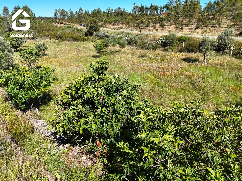 Quinta T0 para Venda em Sarnadas de Rodão Foto 25
