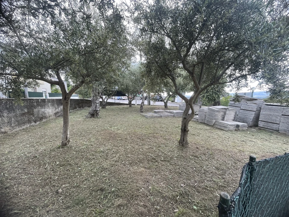 Loja para Venda em Melo e Nabais Foto 13