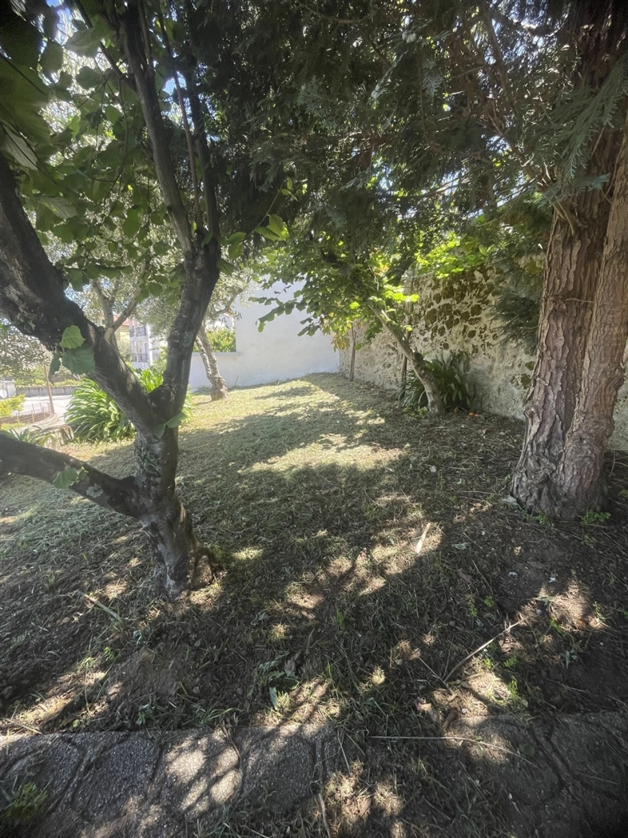 Loja para Venda em Melo e Nabais Foto 14