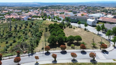 Terreno para Venda em Cebolais de Cima e Retaxo
