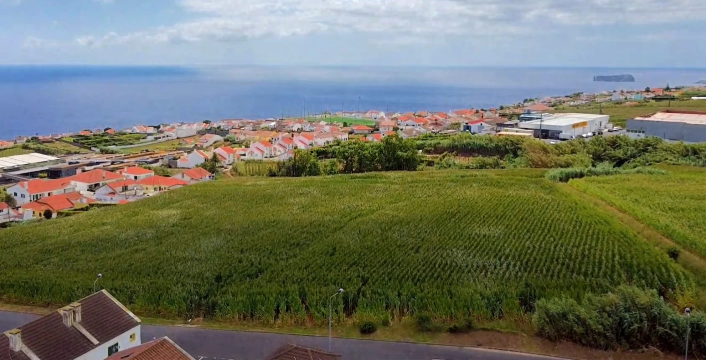 Terreno para Venda em Ponta Garça Foto 4