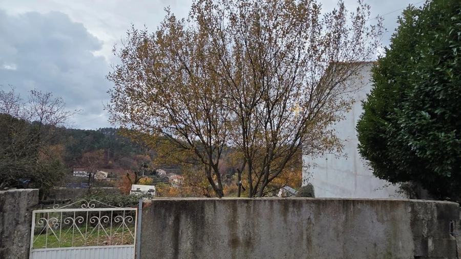 Terreno para Venda em Castro Daire