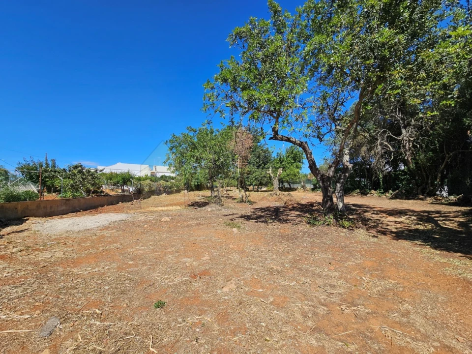 Terreno para Venda em Moncarapacho e Fuseta Foto 10