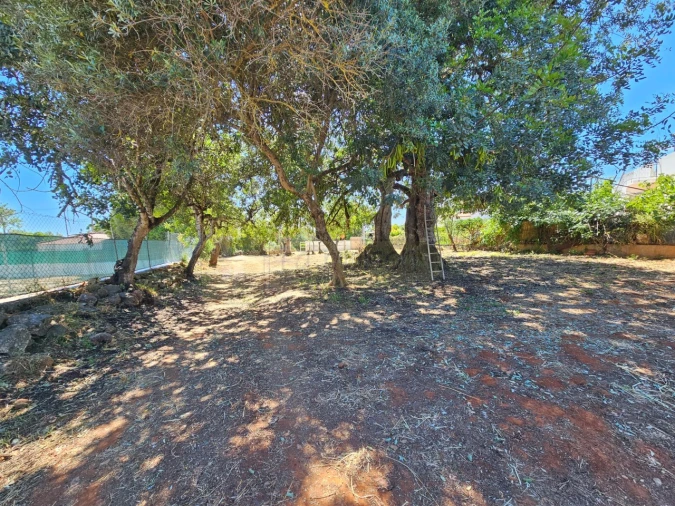 Terreno para Venda em Moncarapacho e Fuseta Foto 6