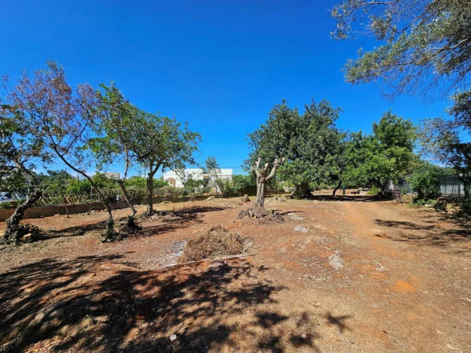 Terreno para Venda em Moncarapacho e Fuseta Foto 9
