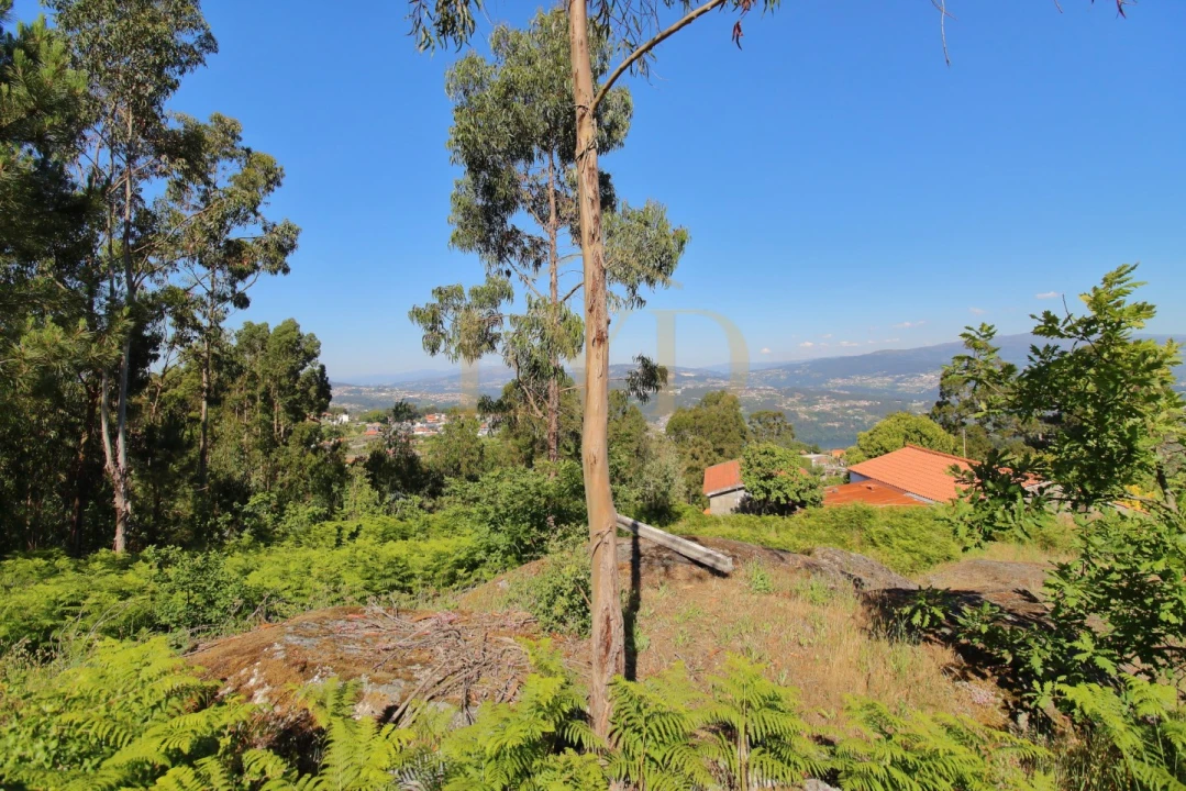 Terreno para Venda em Canelas Foto 14