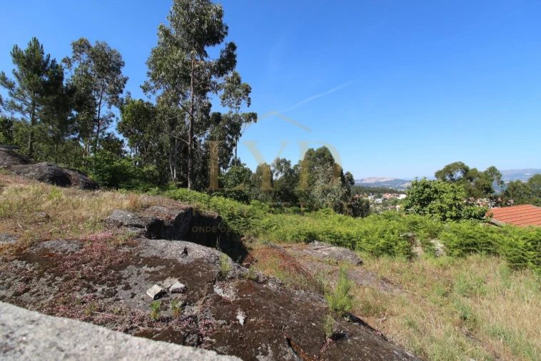 Terreno para Venda em Canelas Foto 8