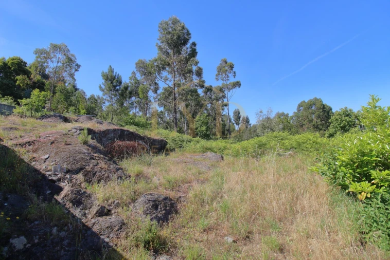 Terreno para Venda em Canelas Foto 9
