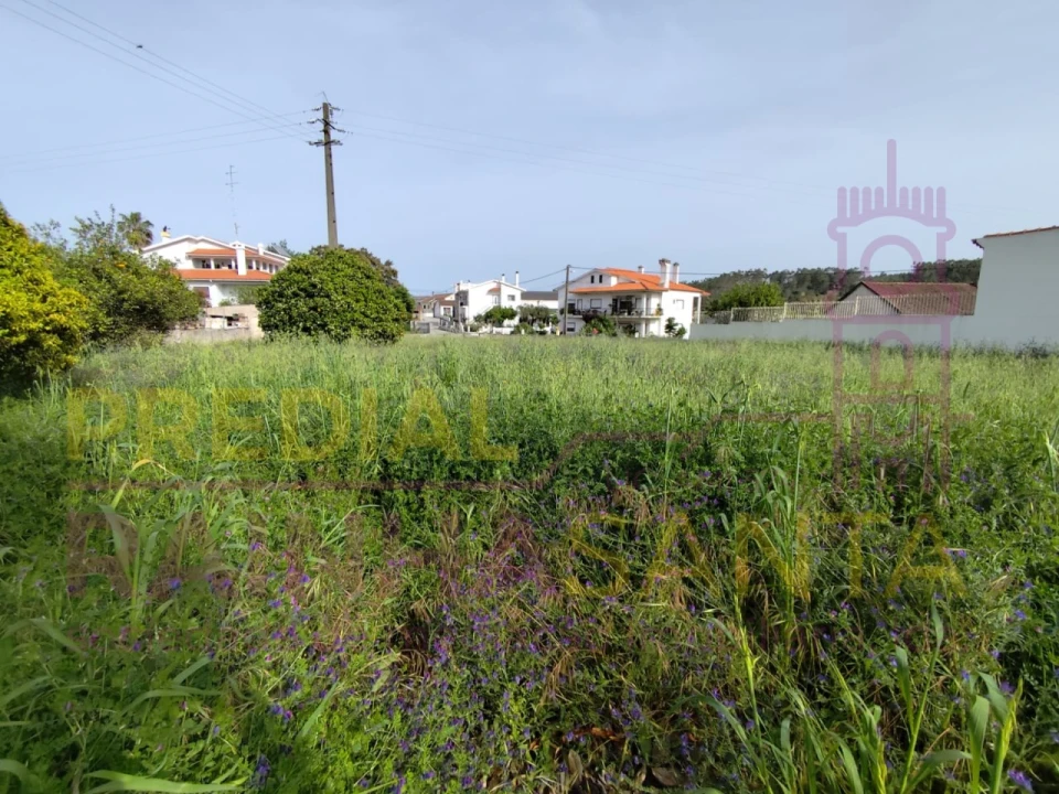 Moradia T6 para Venda em Abrã Foto 40