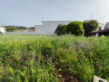 Moradia T6 para Venda em Abrã