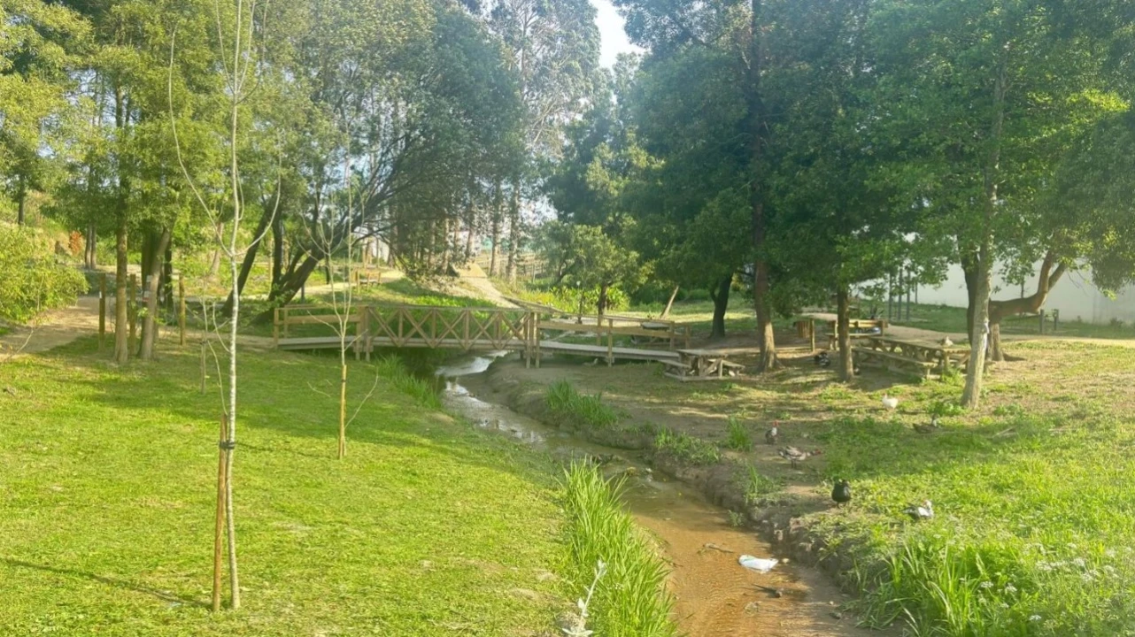 Moradia T4 para Venda em Glória e Vera Cruz Foto 20