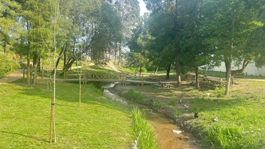 Moradia T4 para Venda em Glória e Vera Cruz Foto 20