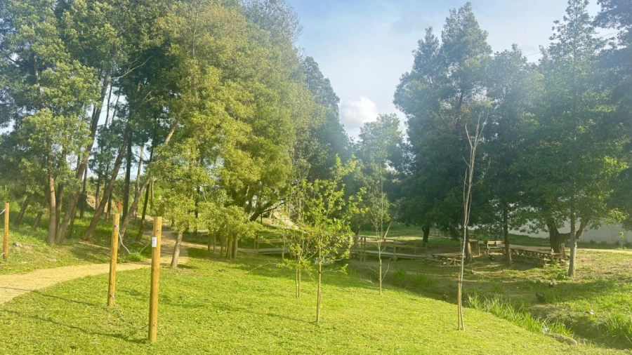 Moradia T4 para Venda em Glória e Vera Cruz Foto 21