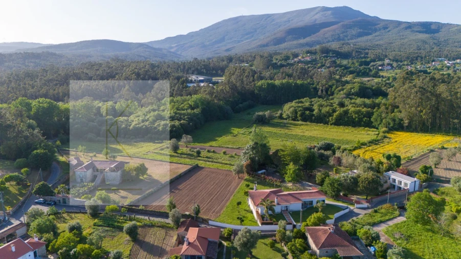 Terreno para Venda em Fontão Foto 14