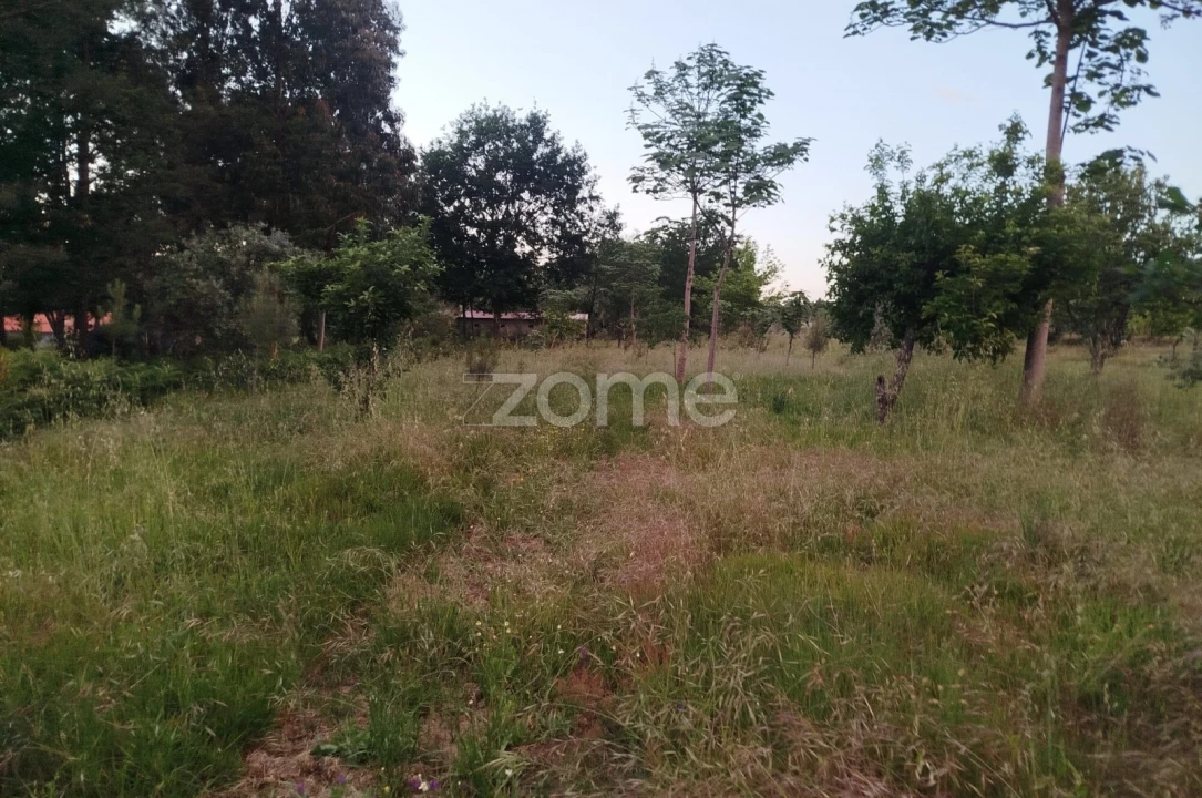 Terreno para Venda em Cunha Baixa Foto 2