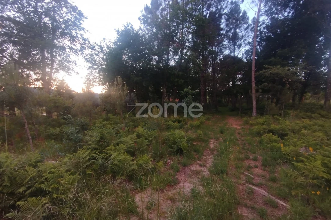 Terreno para Venda em Cunha Baixa Foto 9