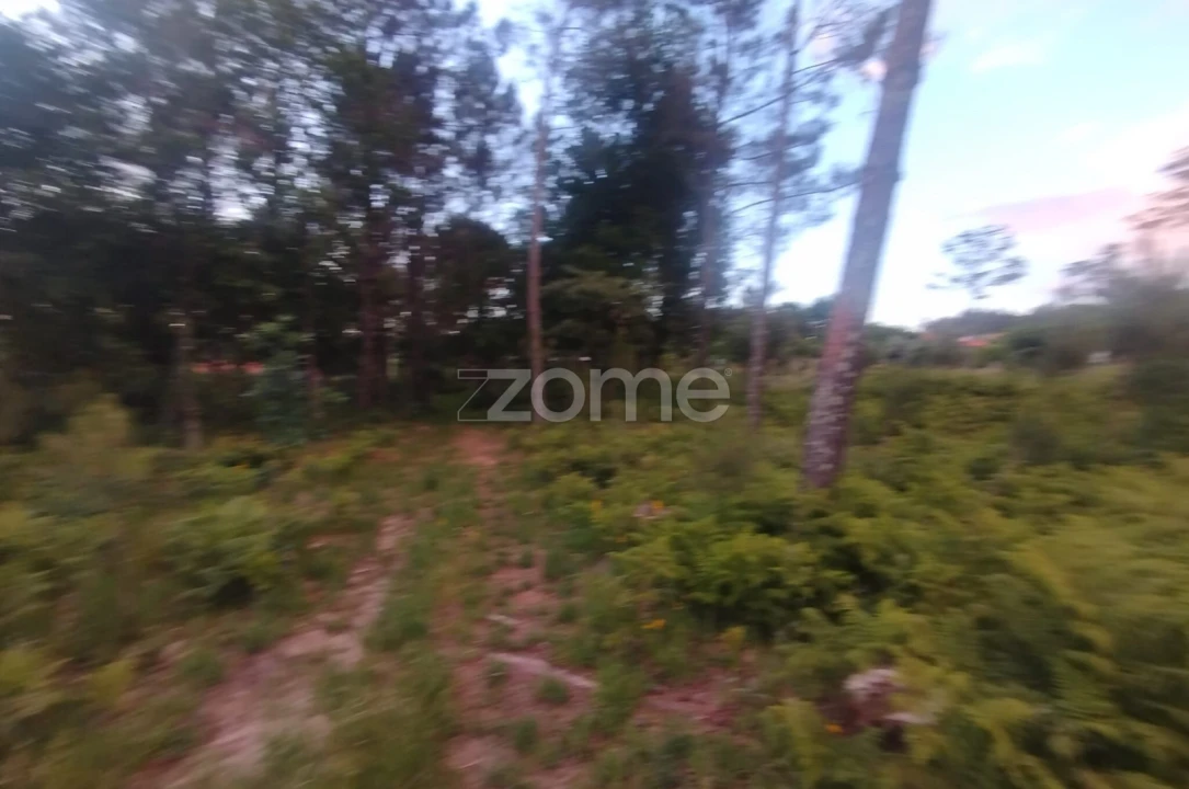 Terreno para Venda em Cunha Baixa Foto 11