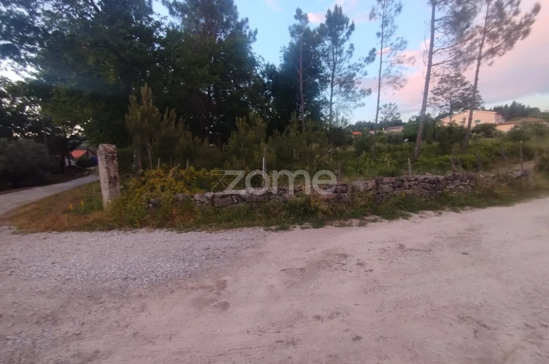 Terreno para Venda em Cunha Baixa Foto 13
