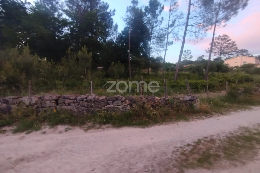 Terreno para Venda em Cunha Baixa Foto 14