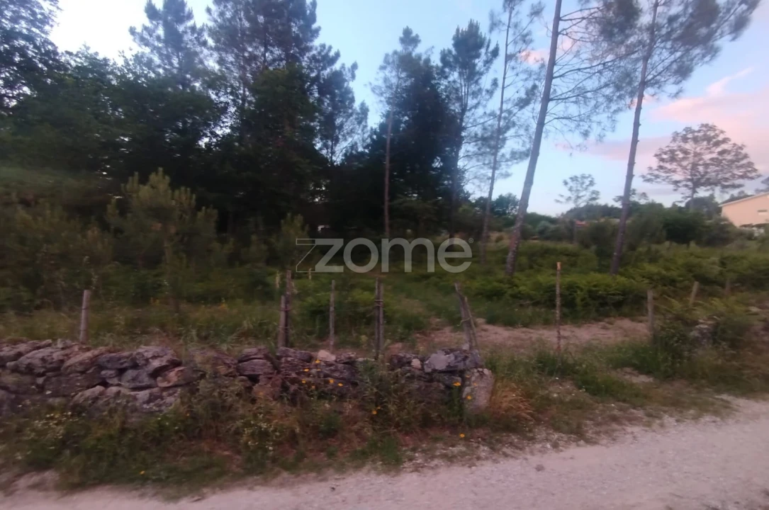 Terreno para Venda em Cunha Baixa Foto 15