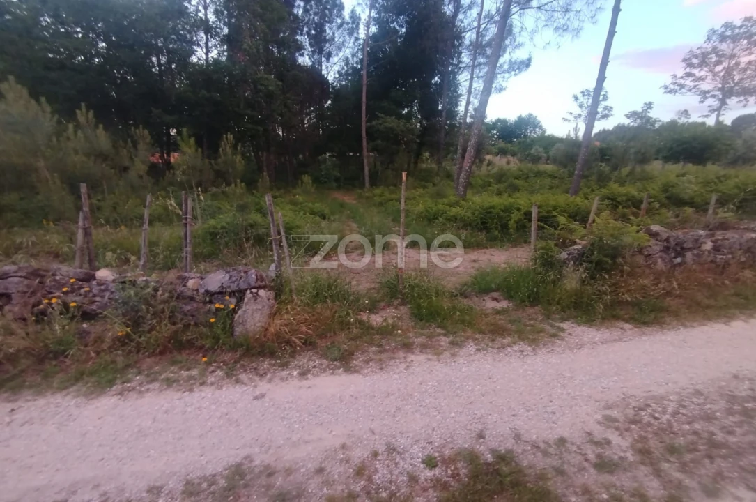 Terreno para Venda em Cunha Baixa Foto 16