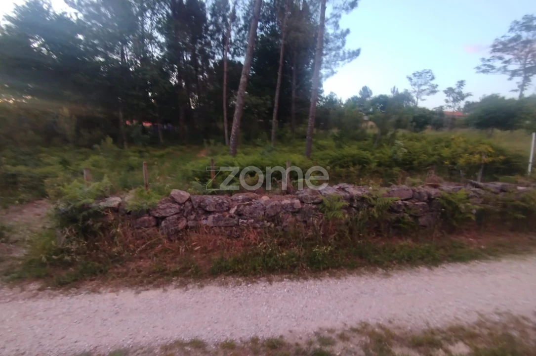 Terreno para Venda em Cunha Baixa Foto 18