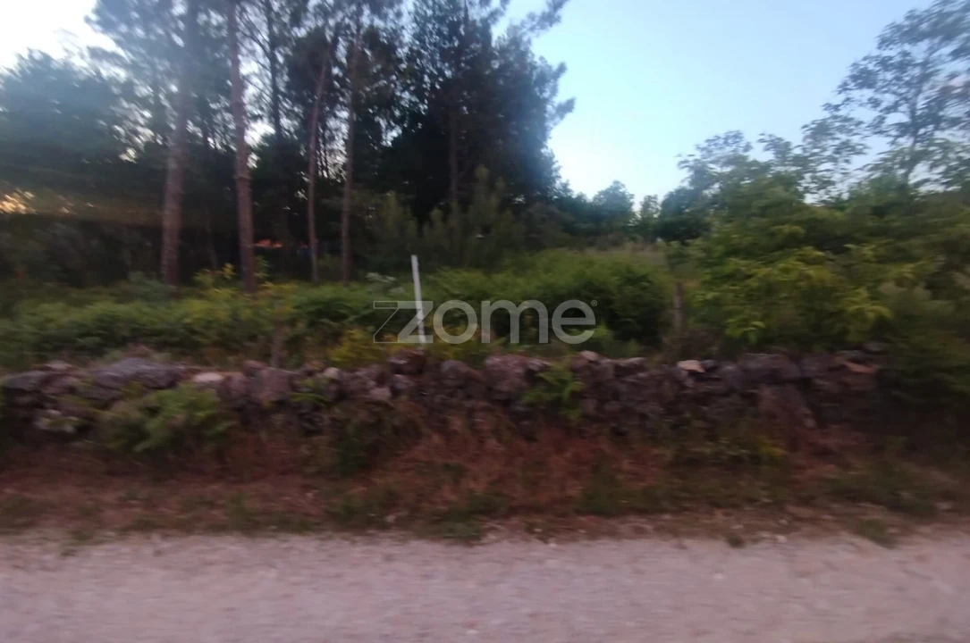 Terreno para Venda em Cunha Baixa Foto 20