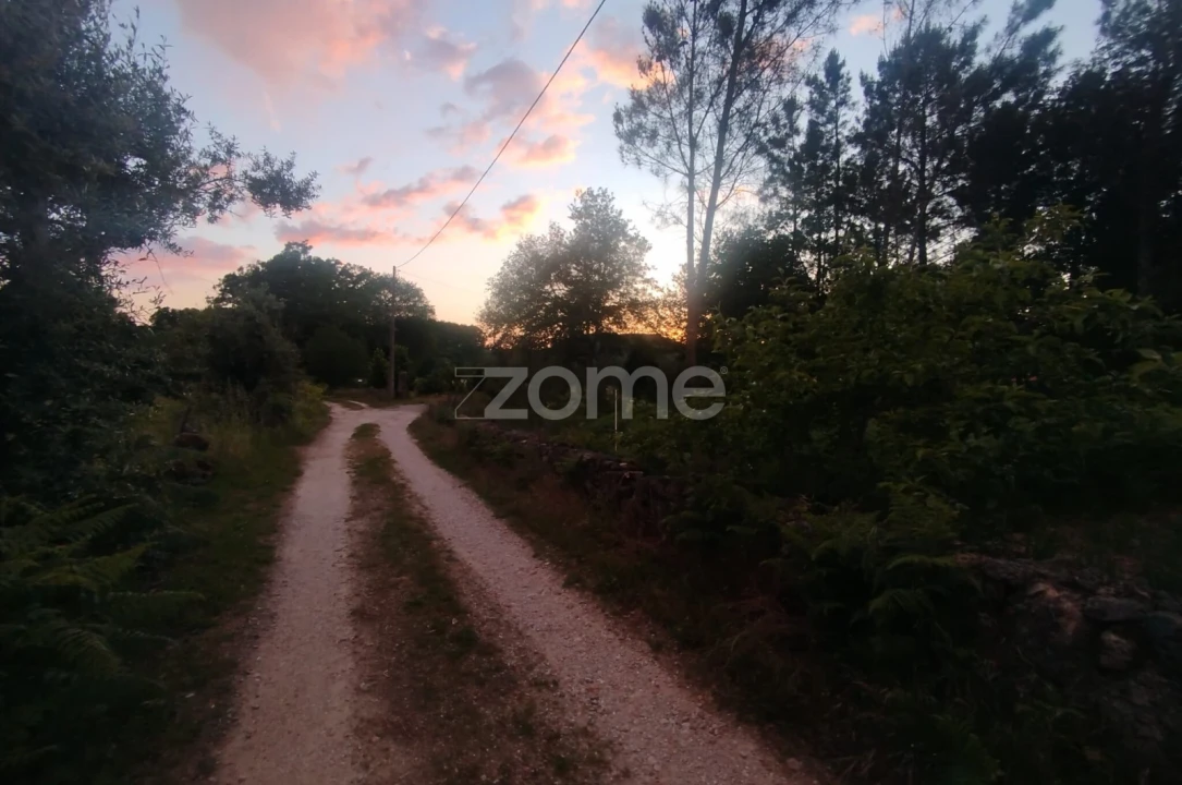 Terreno para Venda em Cunha Baixa Foto 21