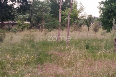 Terreno para Venda em Cunha Baixa