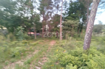 Terreno para Venda em Cunha Baixa