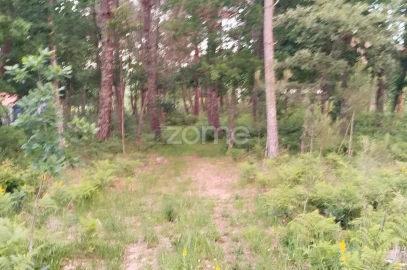 Terreno para Venda em Cunha Baixa