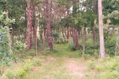 Terreno para Venda em Cunha Baixa