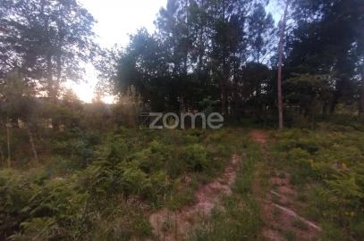 Terreno para Venda em Cunha Baixa