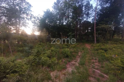 Terreno para Venda em Cunha Baixa