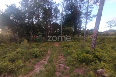 Terreno para Venda em Cunha Baixa