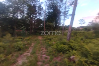 Terreno para Venda em Cunha Baixa