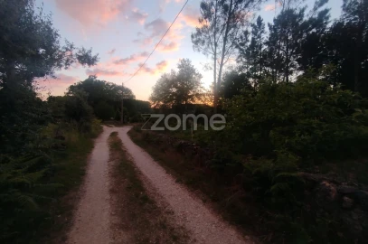 Terreno para Venda em Cunha Baixa