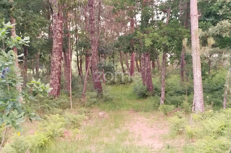 Terreno para Venda em Cunha Baixa Foto 7