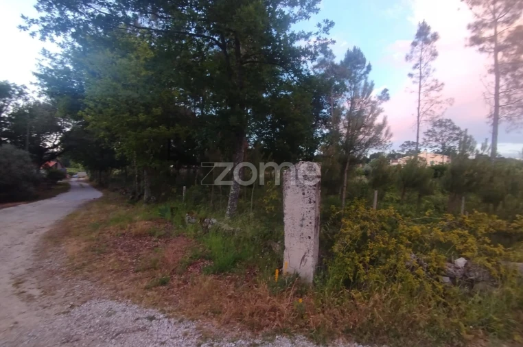 Terreno para Venda em Cunha Baixa Foto 12