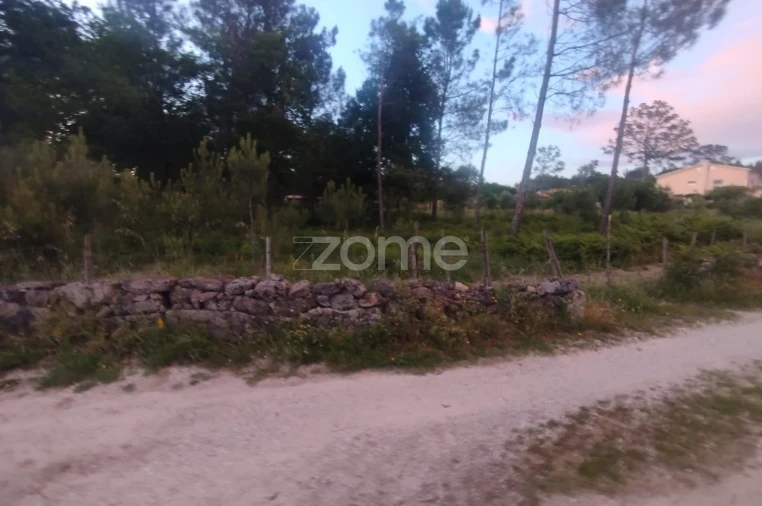 Terreno para Venda em Cunha Baixa Foto 14